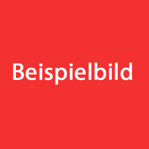 Beispielbild.jpg